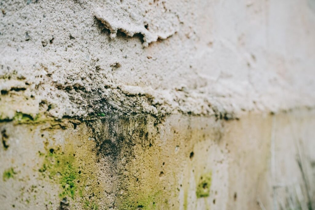 moisture damage on concrete foundation