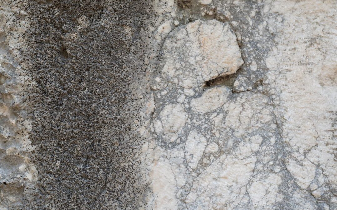 Can Mould Grow on Concrete? How Can I Prevent it?