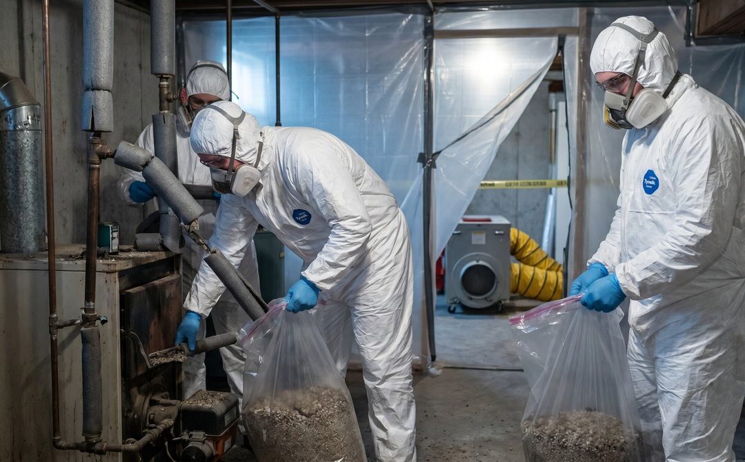 Asbestos Removal in Alberta: Costs, Process and When to Test First